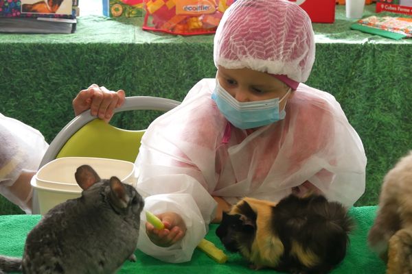 Les animaux apportent du réconfort aux enfants hospitalisés au CHU DE Dijon.