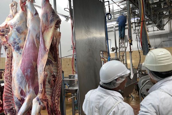 La réouverture des Abattoirs Gesler à Hotonnes (Ain)