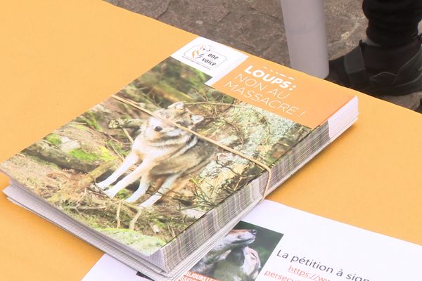 L'association One Voice a organisé un rassemblement ce samedi 14 octobre pour la défense et la protection du loup.