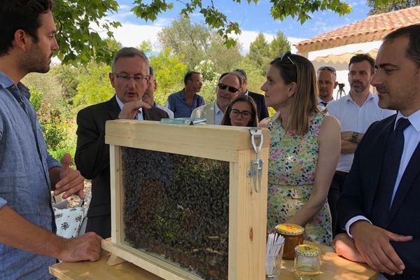 Villeneuve-lès-Avignon (Gard) - la secrétaire d’Etat était en visite chez un apiculteur - 11 juillet 2019