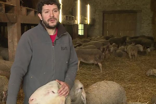 Julien Chaudruc, éleveur de brebis à Beaugas