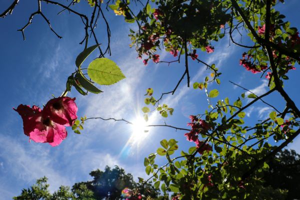 Des températures maximales en hausse et de saison pour ce jeudi 6 avril 2023.