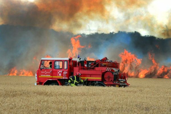 Le colza, l'orge ou le blé s'enflamment très facilement, d'où des feux qui se propagent très rapidement. Photo d'illustration.