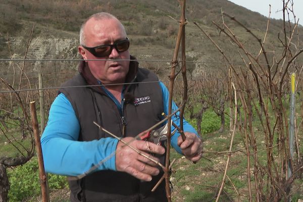 En complément du fonds d'urgence pour les viticutleurs, Jean-François Laville, membre de la Fédération des Vignerons Coopérateurs, est favorable aux aides plus structurelles à l’arrachage définitif ou progressif.