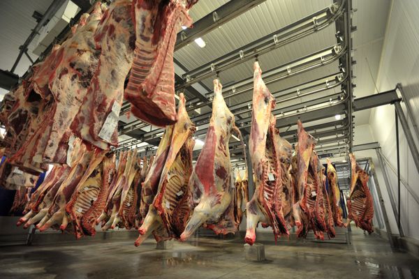 Environ quatre tonnes de viandes ont été volées à l'abattoir de Limoges. (Image d'illustration)