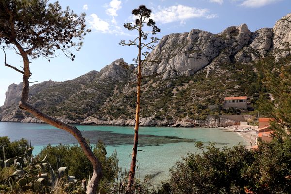 Une enseignante, en sortie scolaire dans la calanque de Sormiou à Marseille, a découvert mercredi 9 octobre de la poudre blanche, qui s'est avéré être de la cocaïne.