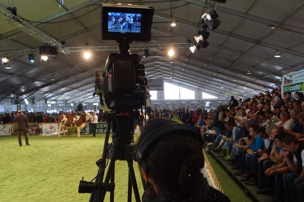 Dans la boîte : le concours national de la race Montbéliarde jeudi matin dans le hall 2.