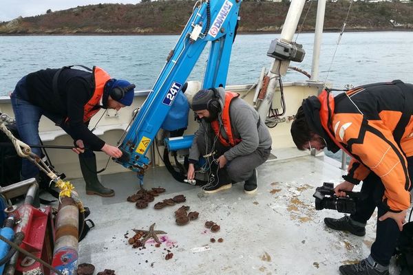 François Joncour en pleine prise de son lors d'une campagne de prélèvement de coquilles Saint-Jacques avec les chercheurs de BeBest