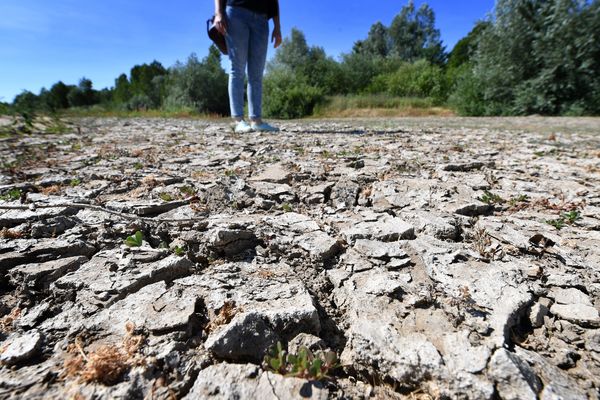 La sécheresse a durement affecté les sols et le bâti en 2018, tout comme elle est en train de le faire cette année