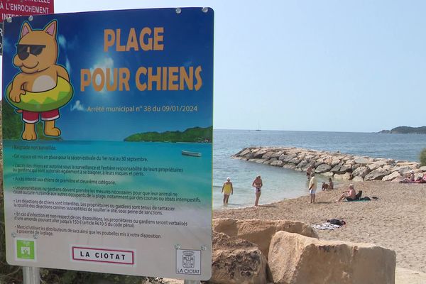 CARTE. La plage avec son chien en PACA : 