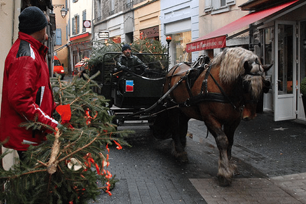 Le 9 et 10 janvier 2018, les sapins déposés par les résidents sont ramassés par des chevaux.