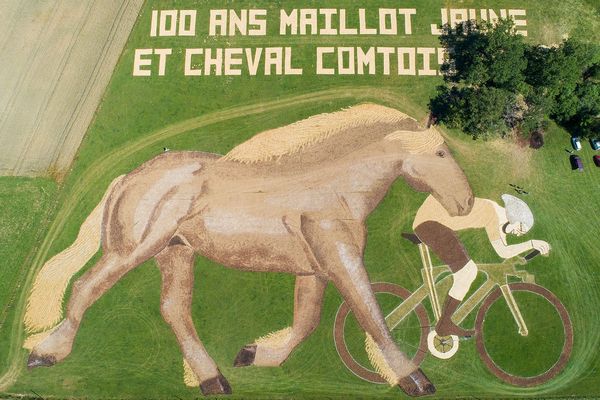 Qui du cheval comtois de Pierre Duc ou du maillot jaune va le plus vite ?