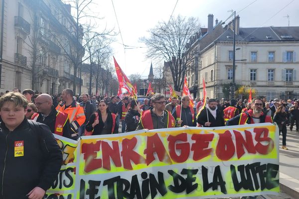 Dans le cortège contre la réforme des retraites à Dijon, le 28 mars 2023