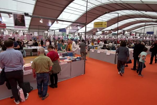 En changeant de lieu, la municipalité ferait l'économie de 140 000 euros pour l'édition 2023 de Lire à Limoges.