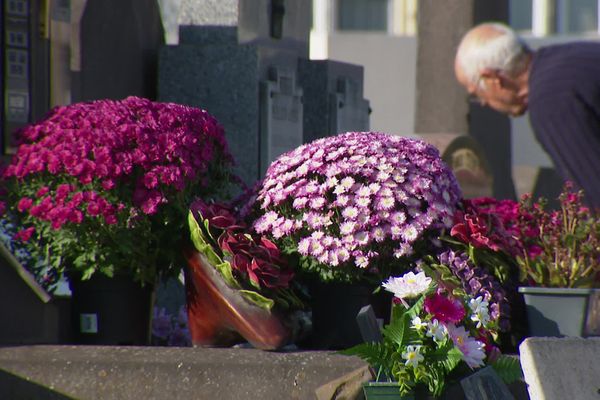 Dans le Puy-de-Dôme, comme ailleurs, le chrysanthème reste indémodable à la Toussaint