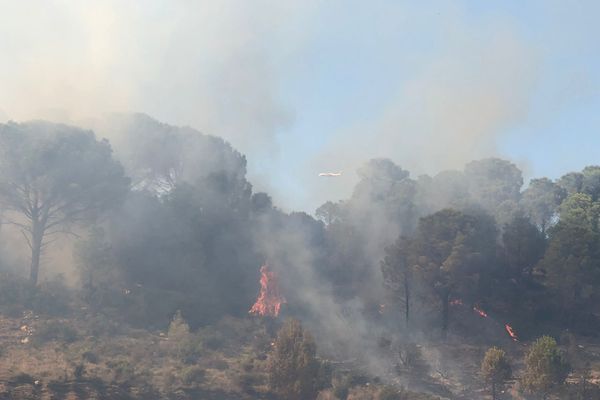 Pyrénées-Orientales - Incendie entre Maury et Tautavel, le 26 août 2021.