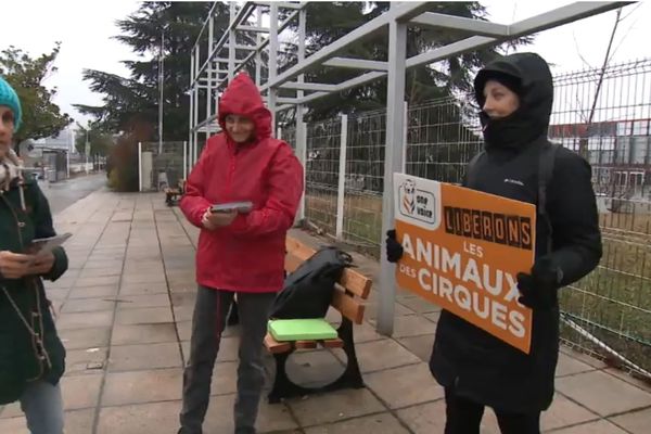 Un peu moins d'une dizaine de militants Rassemblement halte exploitation animale ont tracté devant le cirque de Saint-Pétersbourg, ce dimanche 2 février.