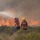 Au total ce mardi soir, 430 soldats du feu engagés sur la lutte de ce premier incendie conséquent dans le Var.