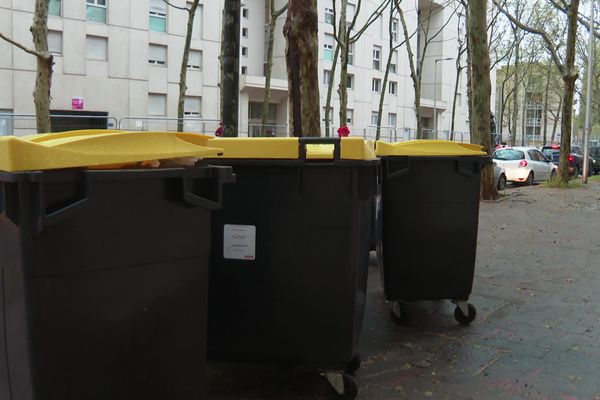 Depuis plusieurs mois, des poubelles disparaissent sur la commune de Grabels dans l'Hérault.