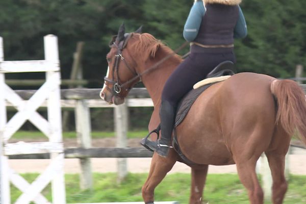 La Fédération Française d'Équitation appelle à la vigilance sur la rhinopneumonie, potentiellement mortelle pour les chevaux.