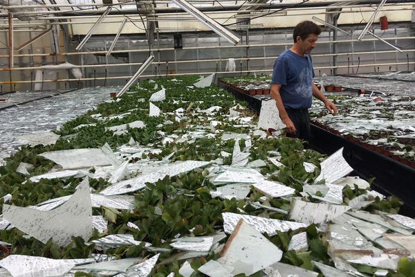 Sa serre détruite, cet horticulteur est dans l'impossibilité de poursuivre son travail