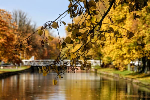 C'est l'automne aujourd'hui, la saison où la nature nous éblouit par ses couleurs