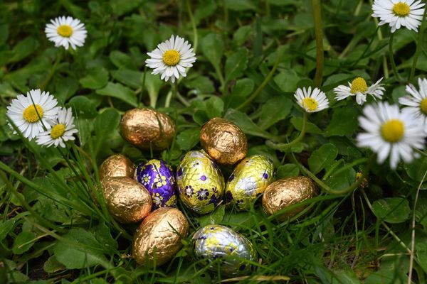 Les œufs de Pâques arrivent !