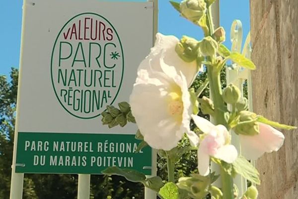 Plusieurs hébergements du Marais Poitevin bénéficient désormais de la marque Valeurs Parc Naturel Régional.