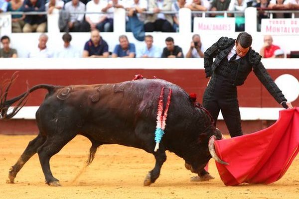 Le second toro de Montalvo pour Manzanares