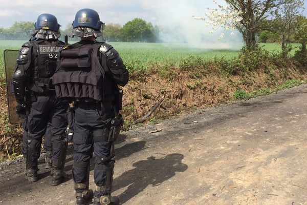 Les gendarmes mobiles positionnés sur la RD281 à Notre-Dame-des-Landes, le 24 avril 2018