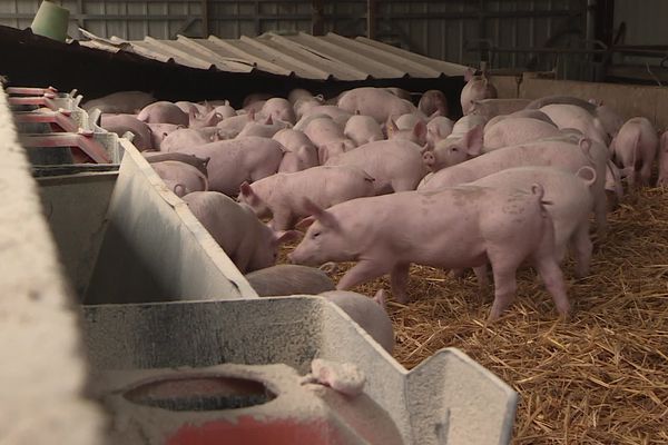 Agriculture biologique à Azé dans le Loir-et-Cher