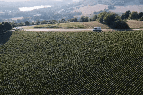 Extrait de la web-série du BIVB "pour découvrir les vins de Bourgogne autrement"