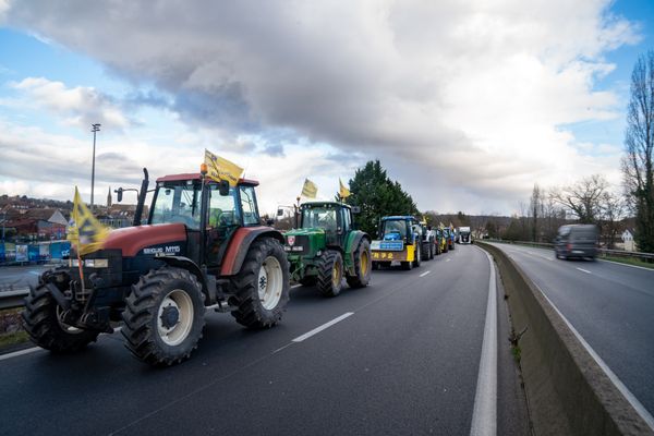 La Coordination rurale compte sur sa notoriété acquise depuis les manifestations de janvier 2024 pour concrétiser sa présence dans les chambres d'agriculture où les élections pour renouveler les membres commencent le 15 janvier 2025.