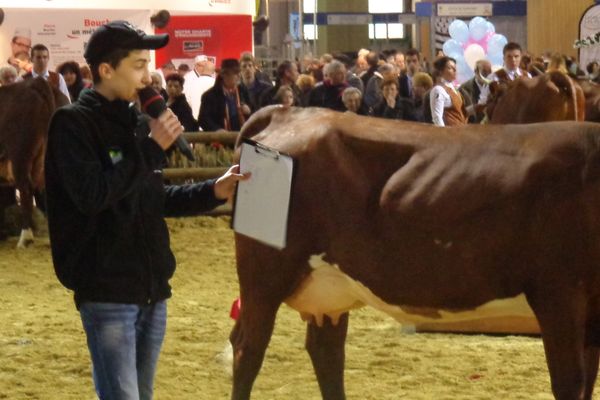 Benjamin en plein arbitrage