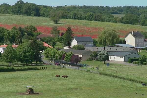 La filière bio, outil de revitalisation du territoire du sud de la Vienne