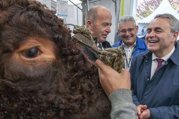 Mercredi 6 octobre, le candidat divers droite Xavier Bertrand était en visite au Sommet de l'Elevage de Clermont-Ferrand.