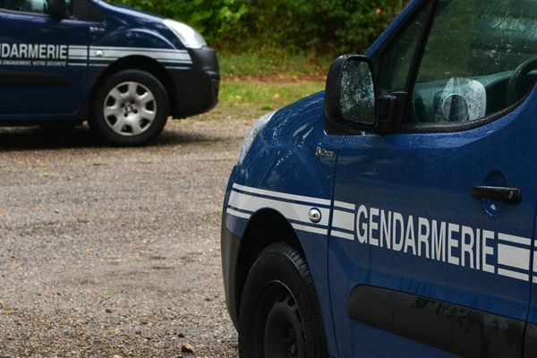 Les gendarmes de Seine-Maritime ont reçu un signalement dans la matinée du samedi 7 septembre. Un passant a aperçu ce groupe de 34 migrants dans une forêt de Maulévrier-Sainte-Gertrude.