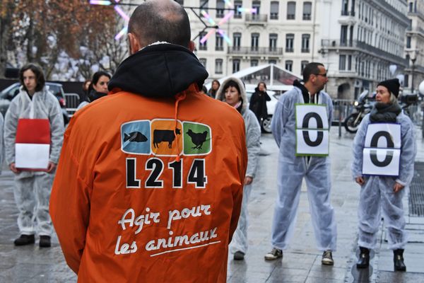 L'enseigne de restauration rapide Subway à jusqu'ici refusé de se plier aux mesures du European Chicken Commitment, qui limite la souffrance des animaux lors de leur élevage et abattage. 