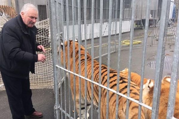 Selon Mario Masson, les conditions de vie de ses tigres à Blacourt dans l'Oise sont réglementaires.