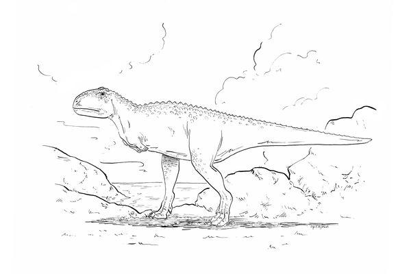 Une nouvelle espèce de dinosaure a été découverte en Normandie.