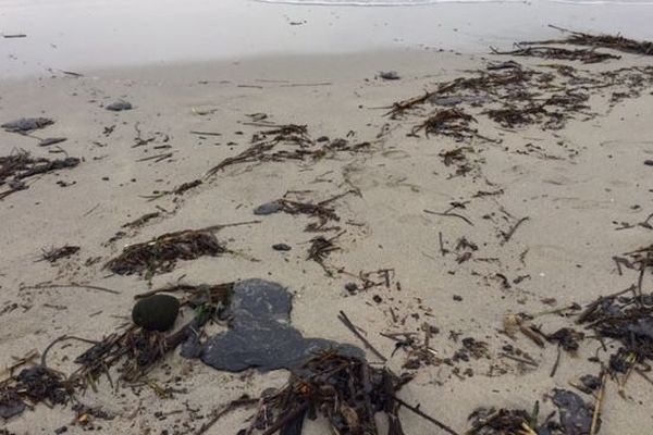 Des galettes de pétrole s'échouent en grand nombre sur les plages de Saint-Tropez et Ramatuelle.