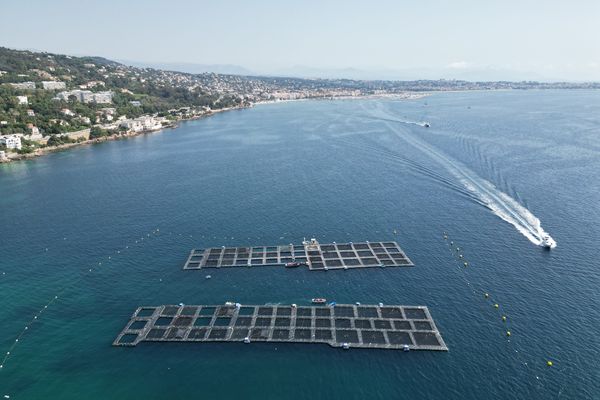 Ferme aquacole préexistante de Golfe-Juan vue en drone