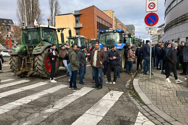 Mobilisation des agriculteurs du Bas-Rhin, le 28 novembre 2024, dans les rues de Strasbourg