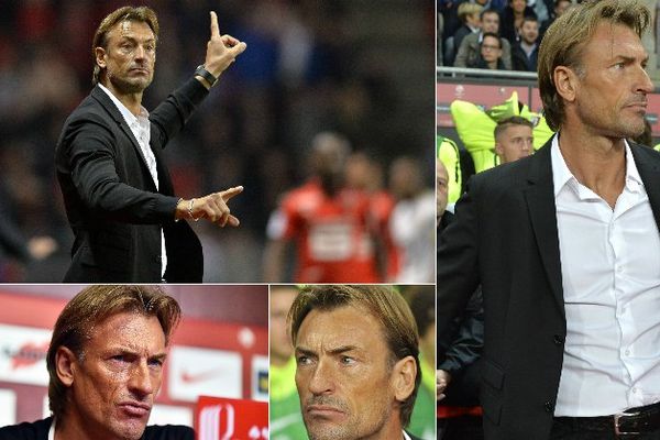 Hervé Renard a vécu 4 mois compliqués au LOSC. Et la suite ?