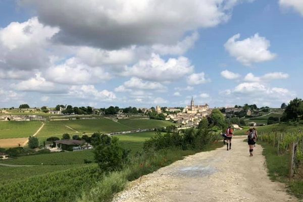 Le Trail de Saint-Emilion est une épreuve réputée chez les coureurs