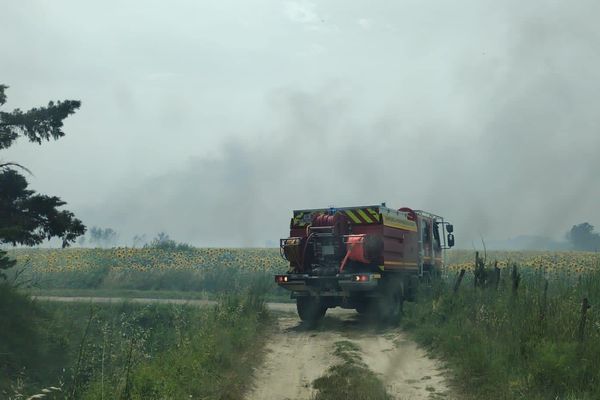 Un incendie qui s'est déclaré ce mardi 20 juin en début d'après-midi  à Fourques, au sud-est de Nîmes, a détruit cinq hectares de végétation. Des moyens aériens et terrestres, une soixantaine de pompiers sont mobilisés.