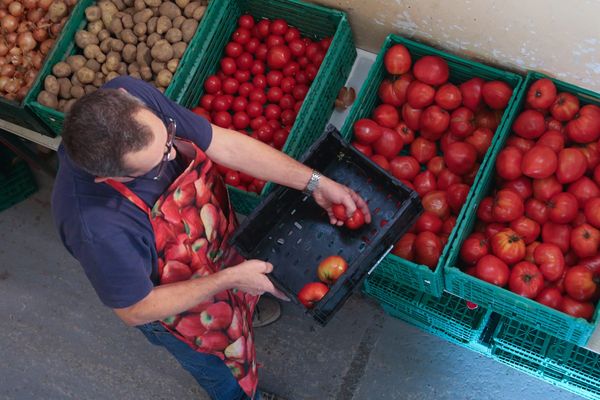 73 000 bénévoles font vivre les restos du cœur, partout en France