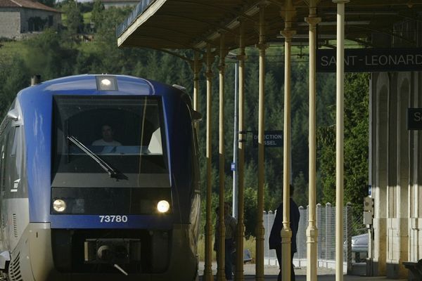 Le Ter Limoges Ussel en gare de Saint-Léonard ( archive)