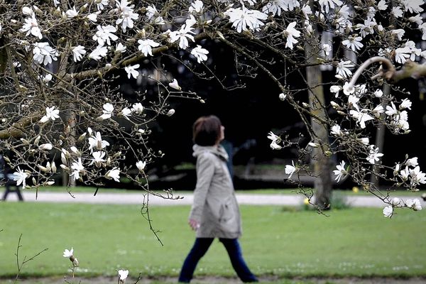 accès aux jardins interdit dès samedi 21 mars