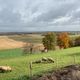 C'est ici, dans la campagne de Champagne-et-Fontaine en Dordogne, qu'un parc éolien pourrait voir le jour.